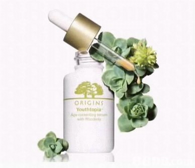 雨田化妆品 源自origins的专业护肤体验